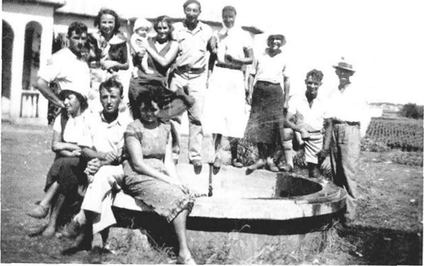 תמונה מעמוד 5