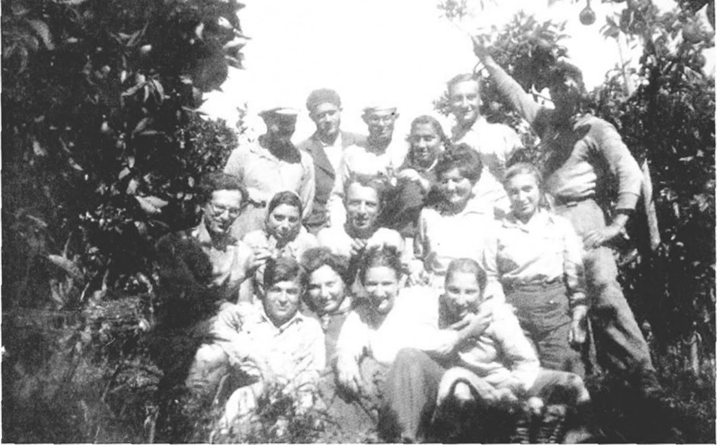 תמונה מעמוד 12
