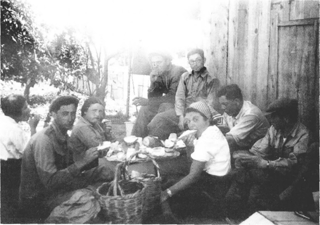 תמונה מעמוד 12