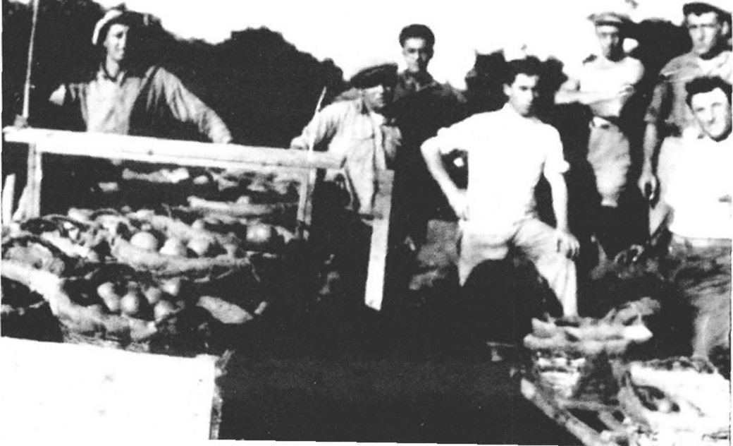 תמונה מעמוד 12