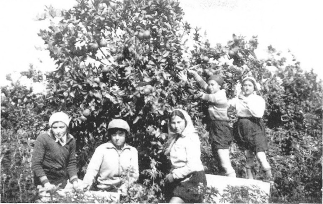 תמונה מעמוד 13
