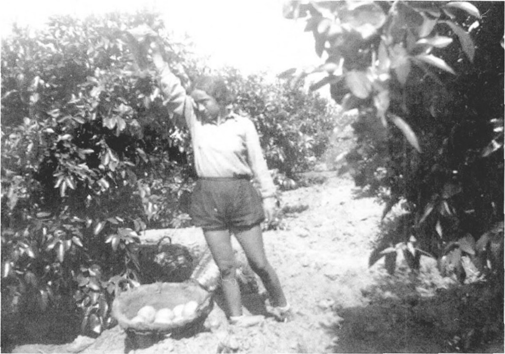 תמונה מעמוד 13