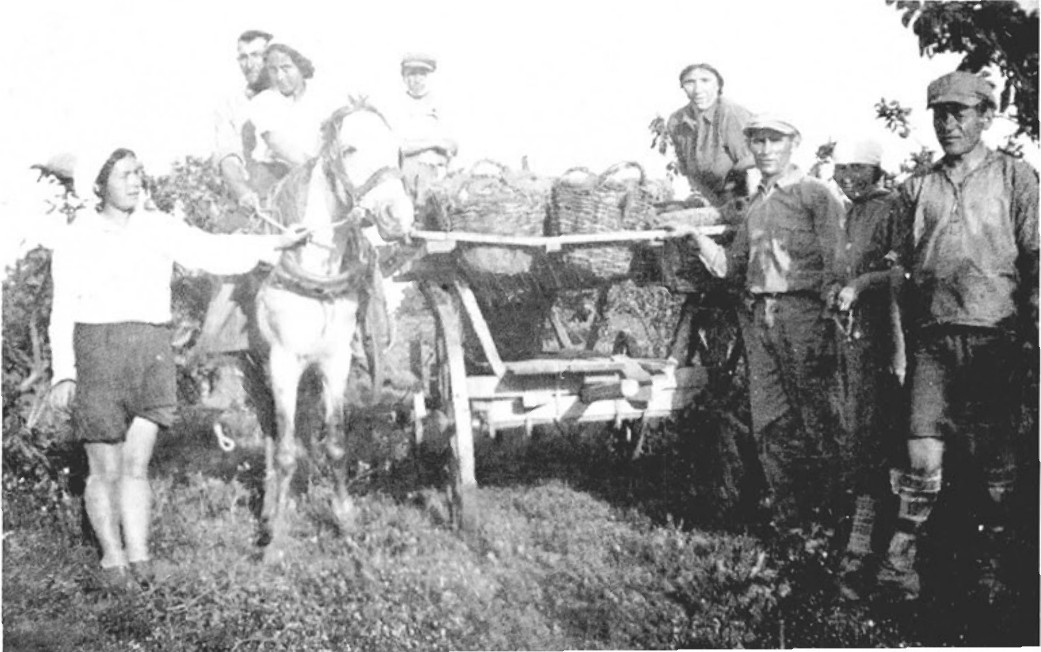 תמונה מעמוד 13