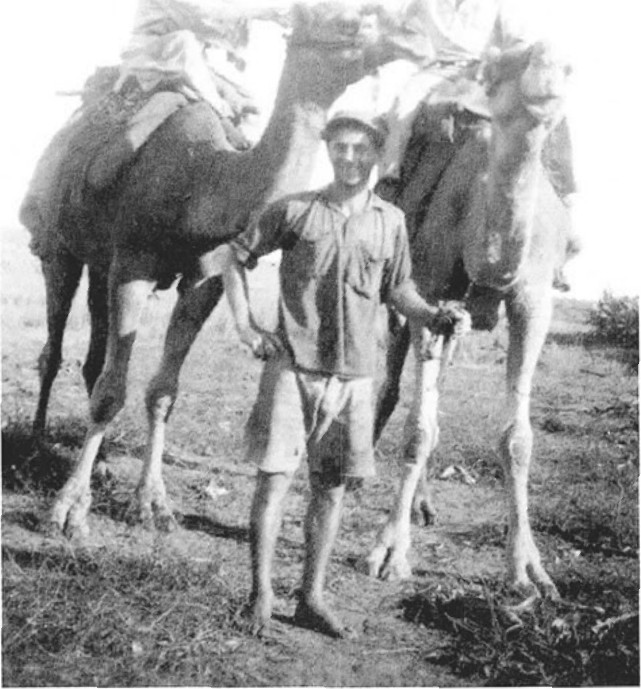 תמונה מעמוד 14