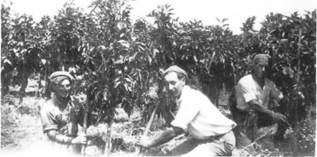 תמונה מעמוד 5