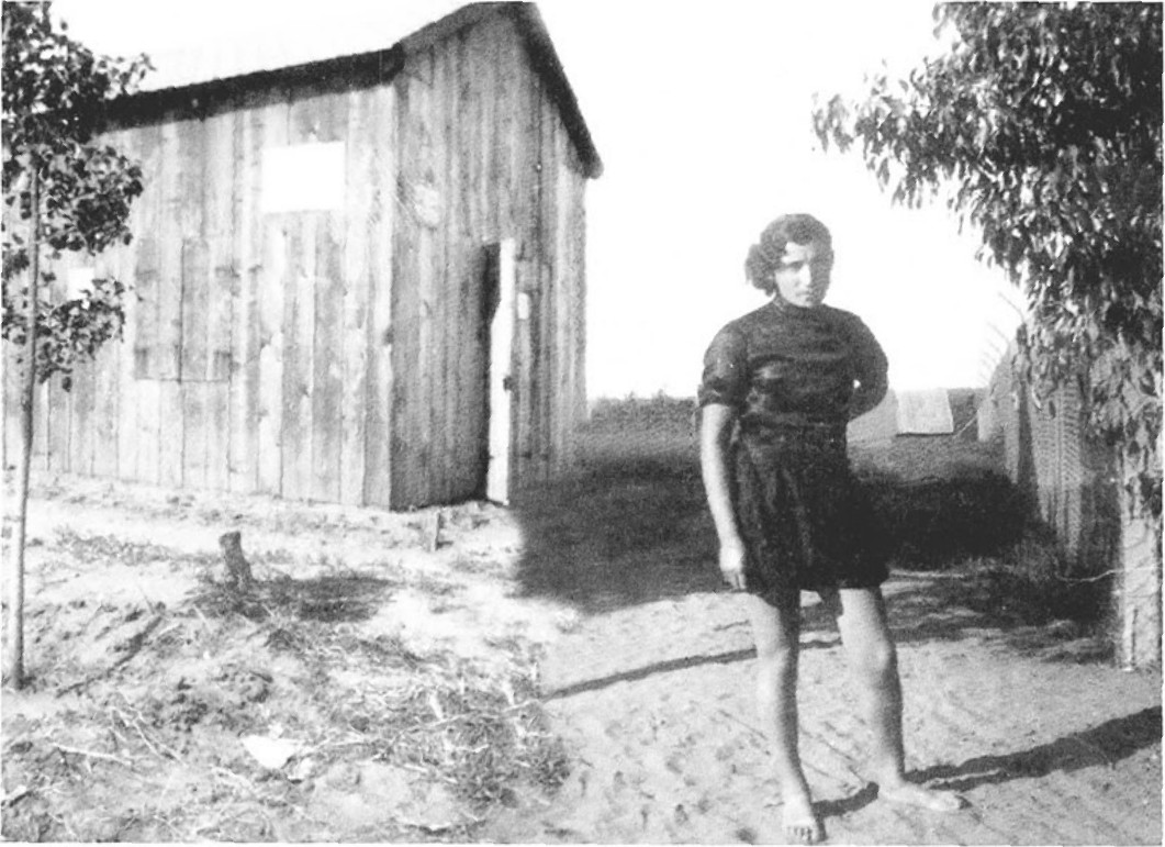 תמונה מעמוד 10