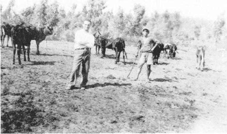 תמונה מעמוד 3