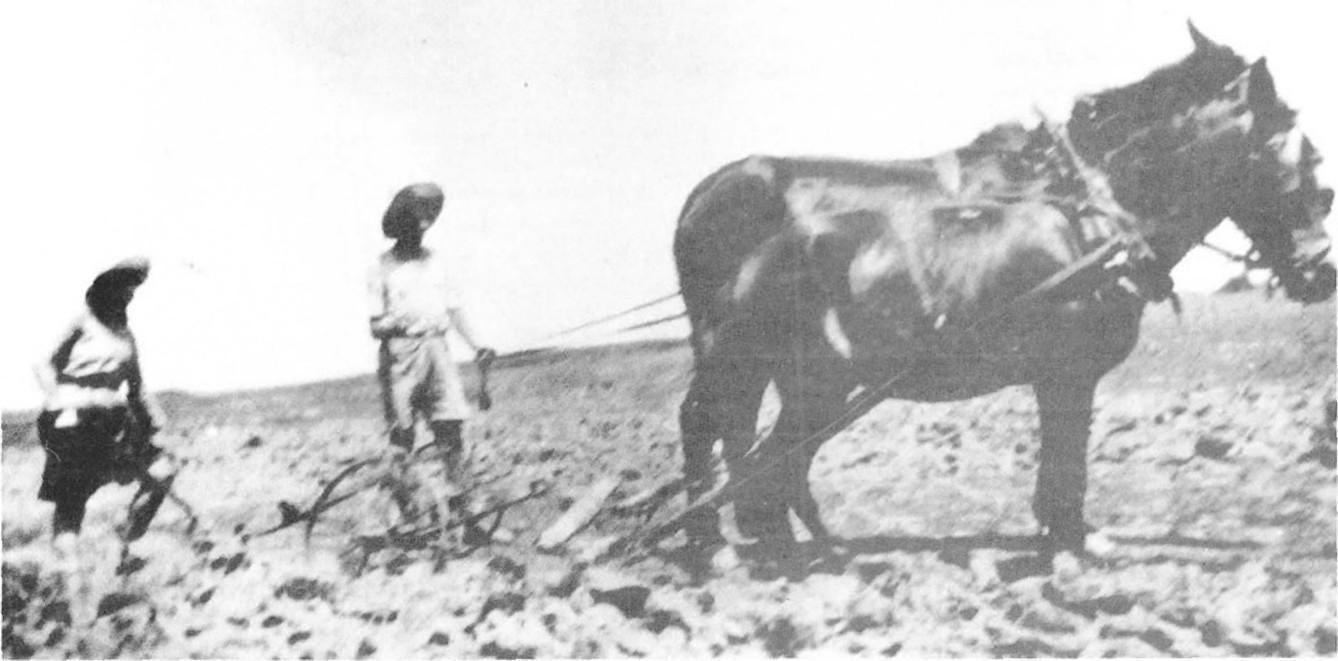 תמונה מעמוד 5