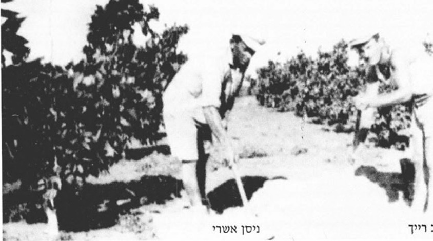 תמונה מעמוד 8
