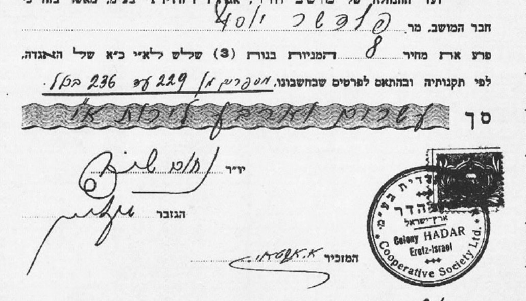 תמונה מעמוד 7