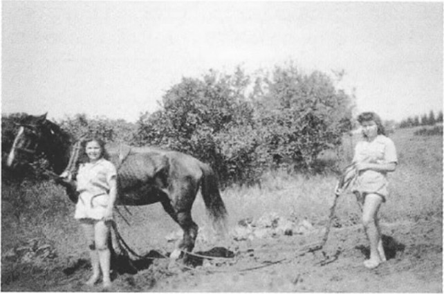 תמונה מעמוד 3