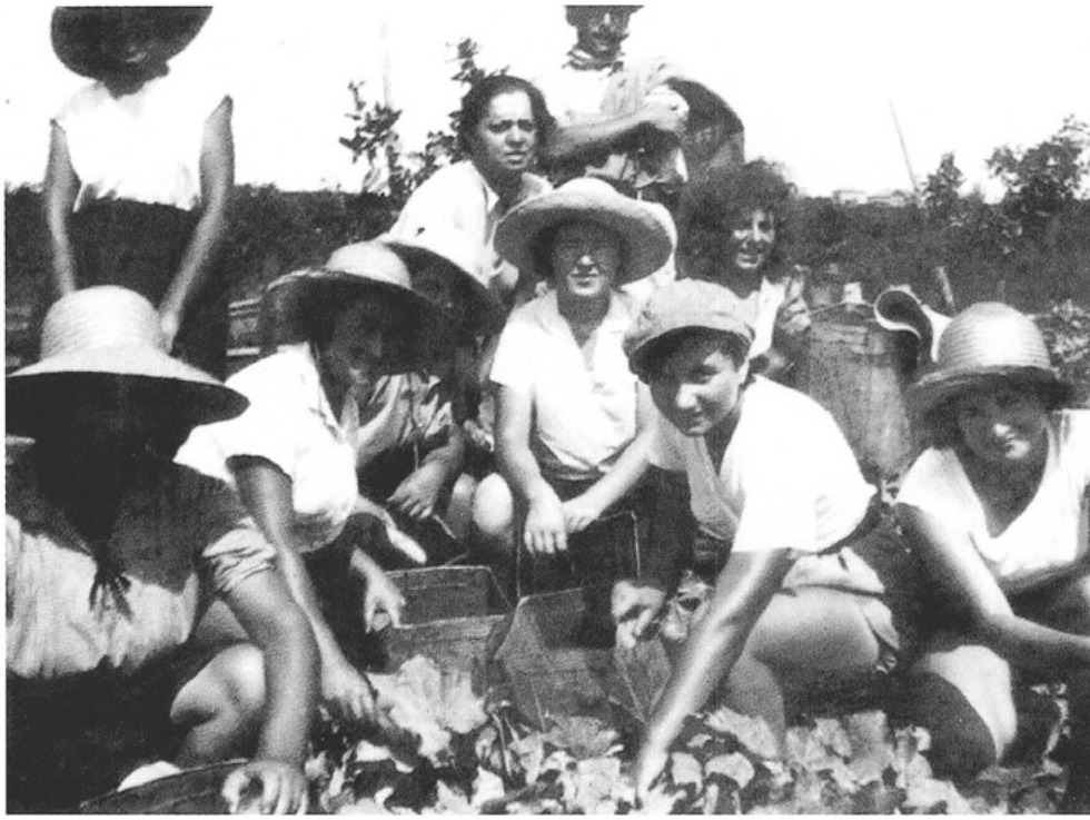 בנות קיבוץ כרית באיסוף מלפפונים במשק א. כהן – 1934.