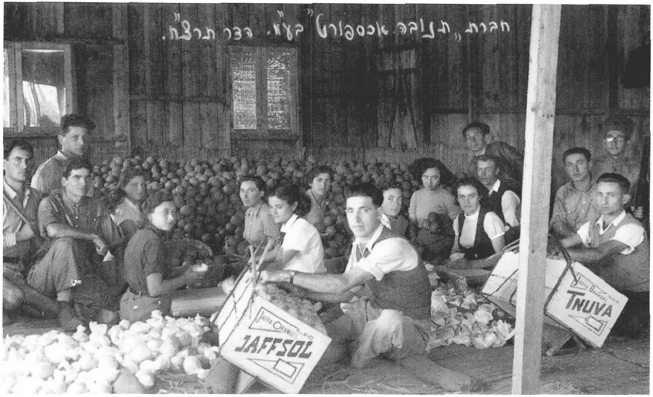 קבוצת האריזה של הדר ב-1938. האורזים יצחק לב ועמרמי. העוטפת מימין אסתר וילובסקי-תרח, המבררות – תחיה בורלא-יעקובי, נחמה מזאה ופרומה לוי. הנגרים דוד פלג – מימין, ישראל רייף משמאל. האריזה בבית אריזה מקומי התקיימה עד אמצע שנות ה-50 ומאז הובילו לבית אריזה מרכזי. תחילה הובילו בארגזי שדה ומשנת 1965 הובילו במכלים.