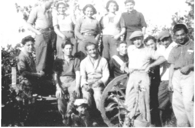 פועלי הקטיף בפרדס ישפה בהנהלת מנחם יוכט.