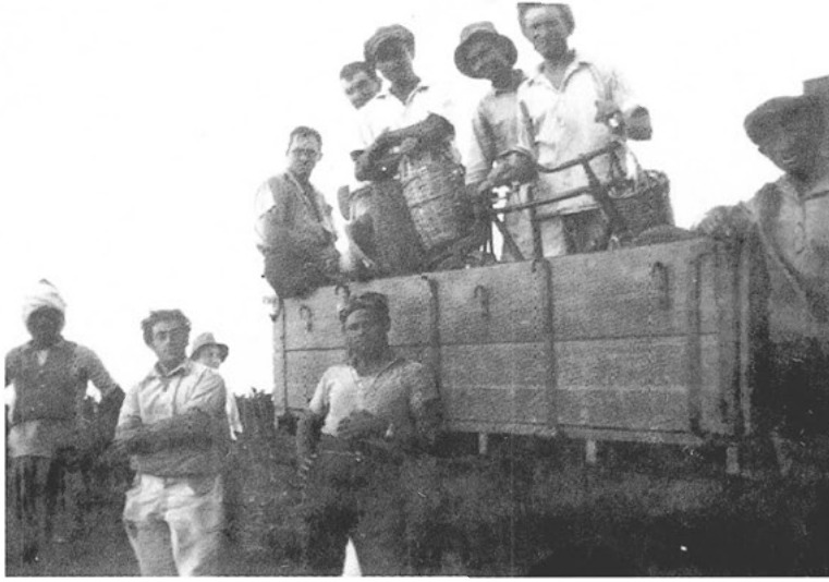 הסעה לעבודה בגוש הפרדסים הדרומי.