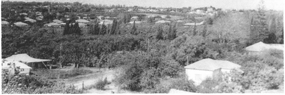 נוף הדר בשנות ה-50 מצולם מהצרכנייה כלפי צפון מזרח. הכביש הוא רחוב דגניה והברושים. רחוב העבודה. הבתים – ברחוב אנשי בראשית.