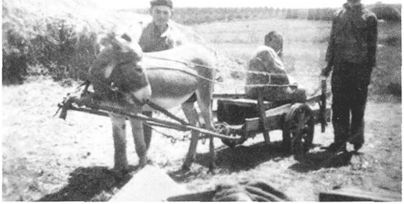 ניסן, גנסיה ועמנואל אקסלרוד במשק.