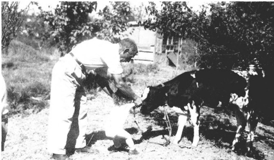 זליג זמודז'ק ונכדו מטפלים בעגלה.