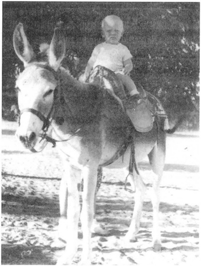 עוזי כהן בן 4 מתאמן ברכיבה על החמור ב-1933.