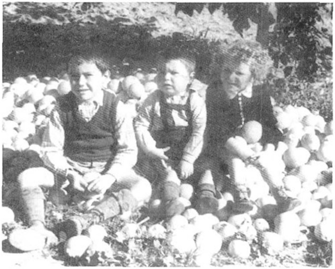 יצחק ואיתן אוהביה ואורחת בקטיף הראשון ב-1937.