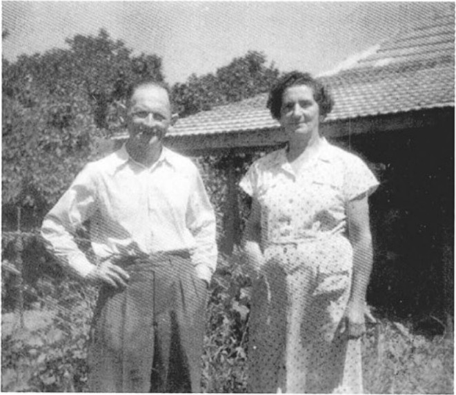 תמונה מעמוד 10
