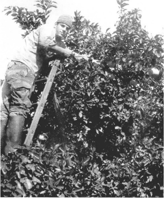 תמונה מעמוד 18