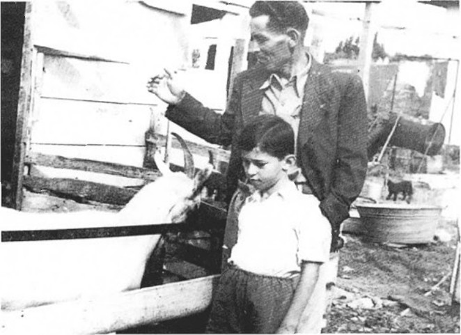 תמונה מעמוד 43