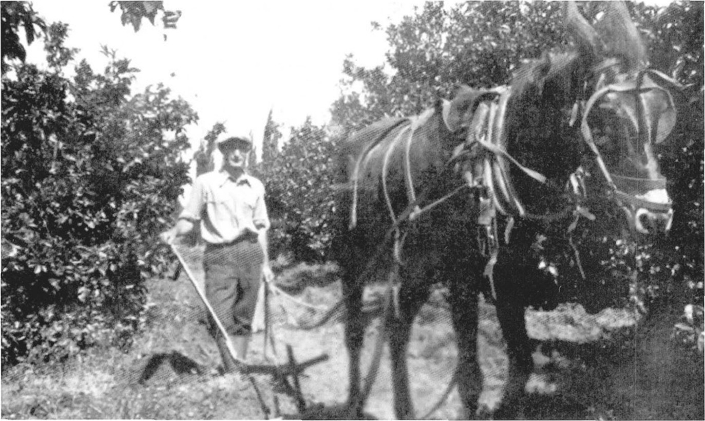 תמונה מעמוד 50