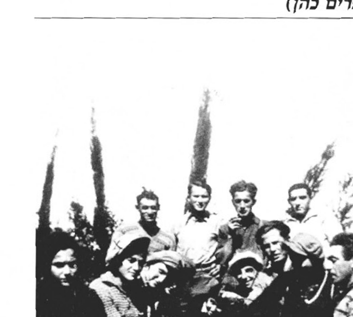 עובדי קטיף הדרים בשעת הפסקה