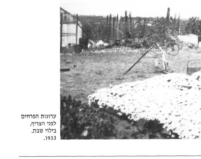 ערוגות הפרחים לפני הצריף, בילוי שבת, 1933