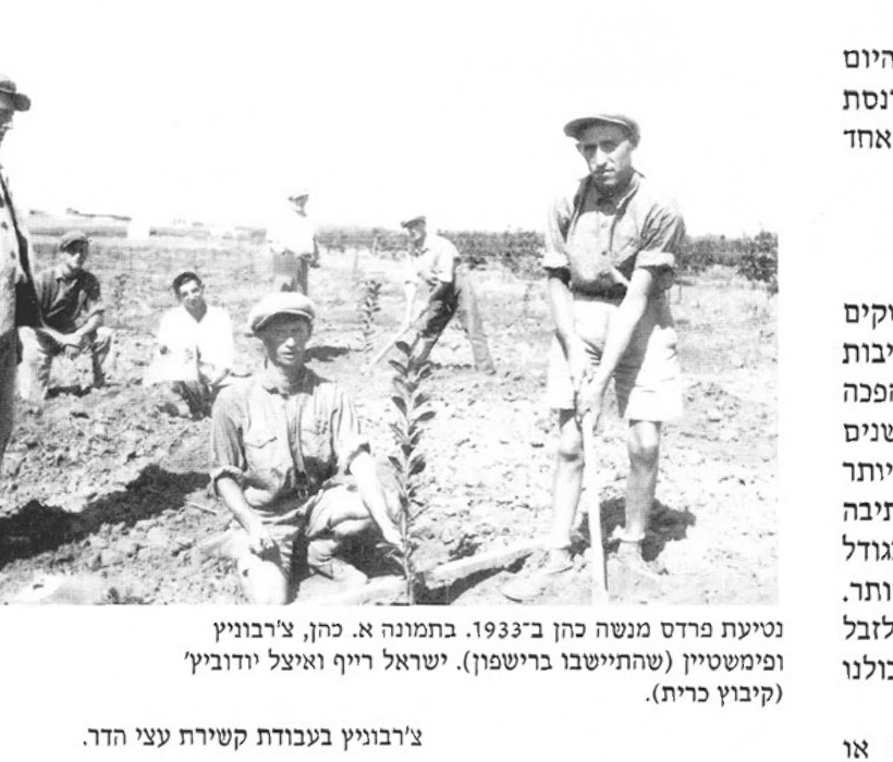 נטיעת פרדס מנשה כהן ב-1933. בתמונה א. כהן, צ'רבוניץ ופימשטיין (שהתיישבו בירשפון). ישראל רייף ואיצל יודוביץ' (קיבוץ כרית)