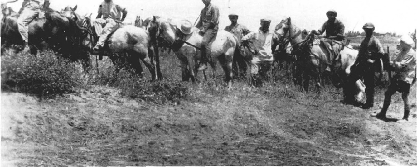 חריש עמוק ב-4 זוגות בהמות. העגלונים מישובי הסביבה