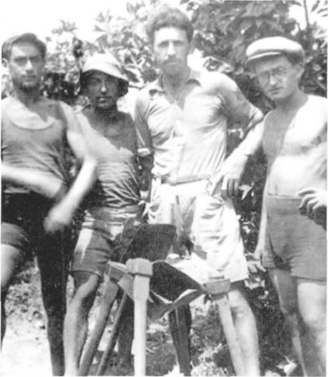פימשטין ב, יצחק לב, דוד פלג, נחקה אנגילביץ - בעבודת הטוריה